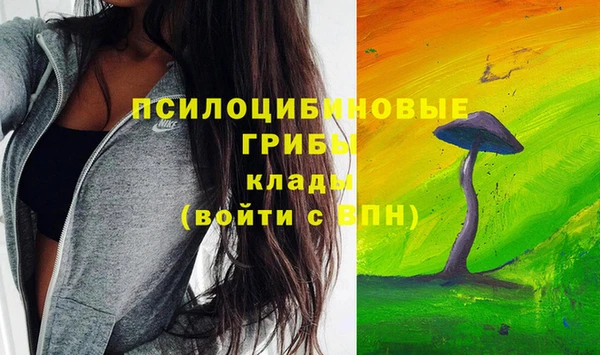 твердый Усолье-Сибирское